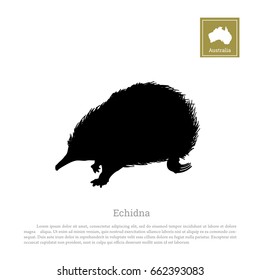 Black silhouette of echidna on a white background. Animals of Australia. Vector illustration.