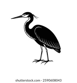 a black silhouette of an egret bird standing on long, thin legs with a long beak and sleek wings, and a decorative crest on top of its head