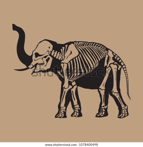 image vectorielle de stock de black silhouette elephant skeleton cut isolated 1078400498 https www shutterstock com fr image vector black silhouette elephant skeleton cut isolated 1078400498