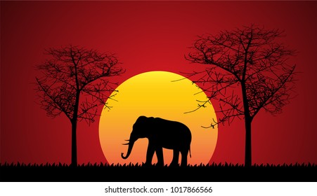 Black silhouette of elephant, wild nature. Vector illustration