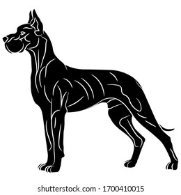 Black silhouette of an English Great Dane. Vector illustration