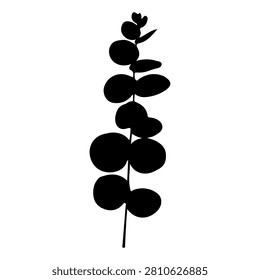 A black silhouette of a eucalyptus branch with rounded leaves, isolated on a white background, highlighting natural plant shapes and forms.