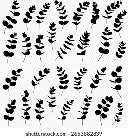Black silhouette of eucalyptus branches, scattered on a transparent background.
