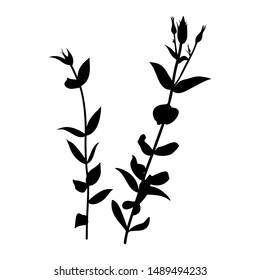 Black Silhouette of eustoma plant isolated on white background. Vector Illustration.