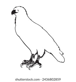 black silhouette of a Falcon with thick outline side view isolated