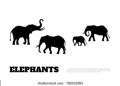 Black silhouette of a family of elephants on a white background. African animals. Vector illustration