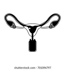 black silhouette of female reproductive system ovaries with fertilized ovum vector illustration