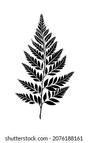 Black silhouette of a fern leaf on white background. Graphic drawing. Vector illustration.