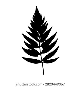 A black silhouette of a fern leaf showcasing intricate fronds and natural leaf structure, isolated on a white background for botanical and nature themes.