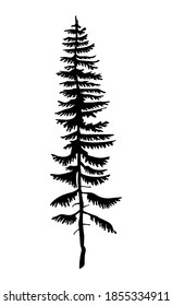 Black silhouette of fir-tree. Hight black pine. Simple tree icon. Nature concept. Pine tree with needles isolated at white background. Decorative element. Plant shadow. Vector illustration