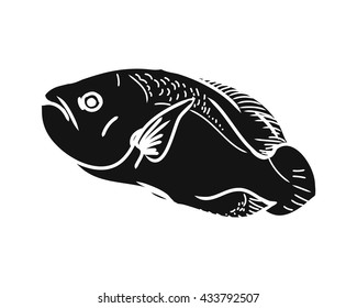 Black silhouette of fish