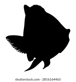 A black silhouette of a fish showcasing detailed fins, tail, and body shape, set against a plain white background for clear visual emphasis.