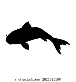 A black silhouette of a fish swimming, capturing aquatic life and underwater environment in a simple, minimalist style.