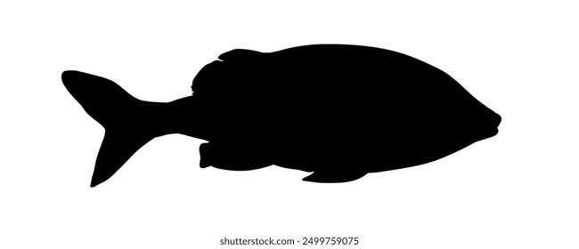 Silueta negra de pescado - Ilustración vectorial