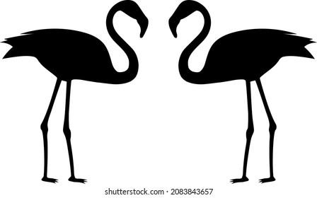 Black silhouette of a flamingo bird. Illustration on a white background. Two flamingo birds.