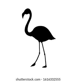 Black silhouette flamingo, isolated on white background. Good for print, emblem, decoration, icon,  t-shirt design, etc. Hand-drawn vector element for decoration.