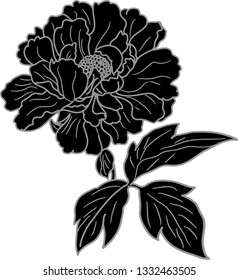 Black silhouette of flower
