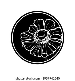 Black silhouette of a flower (Helenium) in black circle. Vector illustration.