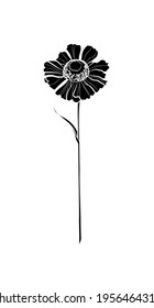 Black silhouette of a flower (Helenium) on white background. Vector illustration.