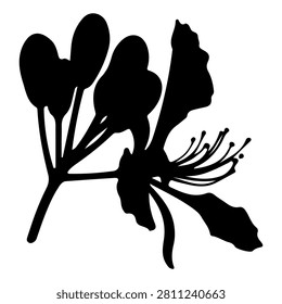 A black silhouette of a flower showcasing intricate petals and stamens, emphasizing natural beauty and botanical elegance.