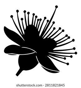 A black silhouette of a flower showcasing intricate stamens and petals, emphasizing natural beauty and botanical structure.