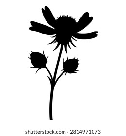 A black silhouette of a flower with three buds and a blooming blossom on a plain background, highlighting natural beauty and botanical elements.