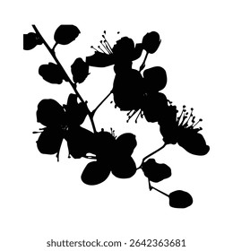 A black silhouette of a flowering branch against a white background. The image features delicate blossoms and a simple, elegant style. The composition is focused on the floral details.