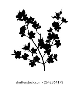 A black silhouette of a flowering branch against a white background. The image features numerous small blossoms and leaves, creating a delicate and elegant floral design.