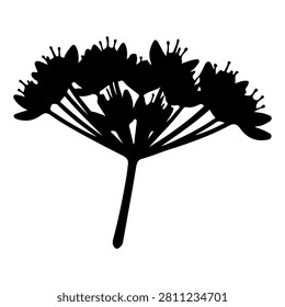 Black silhouette of a flowering plant with multiple flower clusters and a single stem, isolated on a white background.