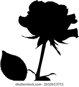 Black silhouette of flowers on white background. Elegant floral shapes for decorative designs, tattoo art, invitations, logos, botanical illustrations, and minimal black-and-white nature compositions.