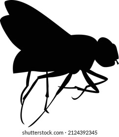 Black silhouette of fly on white background