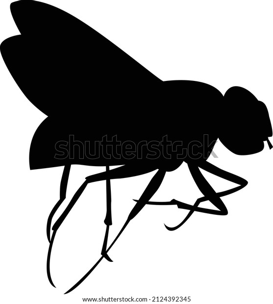 Black silhouette of\
fly on white background
