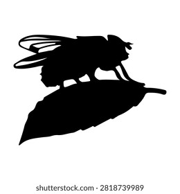 A black silhouette of a fly perched on a leaf, emphasizing insect and nature elements in a minimalistic style.