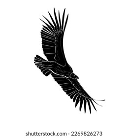 Black silhouette of the flying Andean condor on white background. Graphic drawing. Vector illustration.