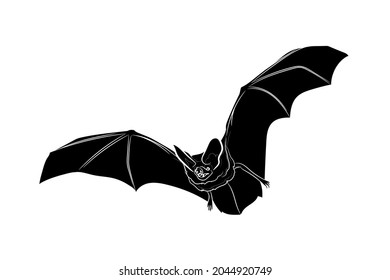 Black silhouette of flying bat on white background. Graphic drawing. Vector illustration.