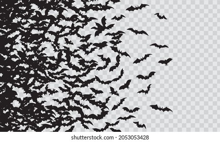 Black silhouette of flying bats flock isolated on transparent background. 