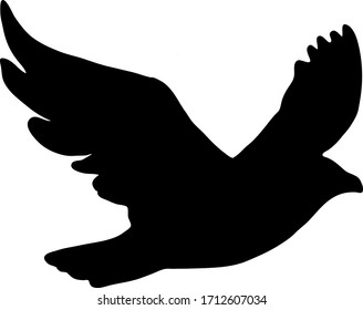 Schwarze Silhouette fliegender Greifvogel einzeln auf weißem Hintergrund. Vektorillustration Illustration. 