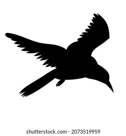 black silhouette flying bird vector