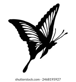 Black silhouette of Flying butterfly with    outline thick view isolated white background