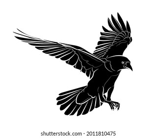 Black silhouette of a flying crow (Corvus) on white background. Graphic drawing. Vector illustration.