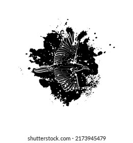 Black silhouette of a flying crow in black stain. Graphic drawing. Vector illustration.