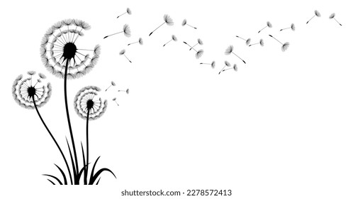 Black silhouette with flying dandelion buds  , vector illustration.Conceptual illustration of freedom and serenity