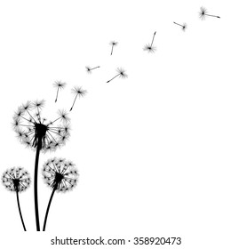 black silhouette with flying dandelion buds on a white background