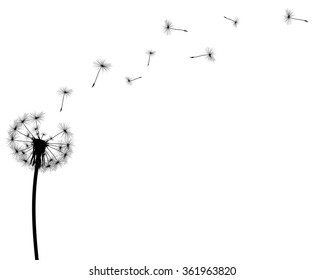 black silhouette with flying dandelion buds on a white background