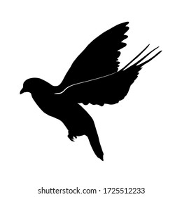 black silhouette of flying dove. symbol of peace. Isolated on white background. Hand drawn