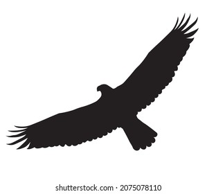 Black Silhouette Flying Eagle Stock Vector (Royalty Free) 2075078110 ...