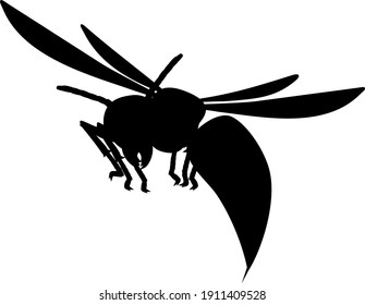 Black silhouette of flying European hornet (Vespa crabro) isolated  white on background