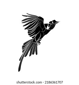 Black silhouette of the flying helmeted hornbill (Rhinoplax vigil) on white background. Graphic drawing. Vector illustration.