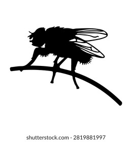 A black silhouette of a flying insect, possibly a fly or bee, perched on a thin branch, isolated on a white background, emphasizing insect shape and form.