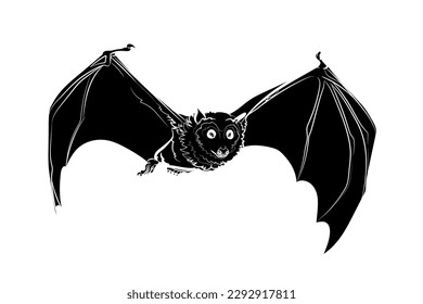 Black silhouette of the flying large flying fox on white background. Graphic drawing. Vector illustration.